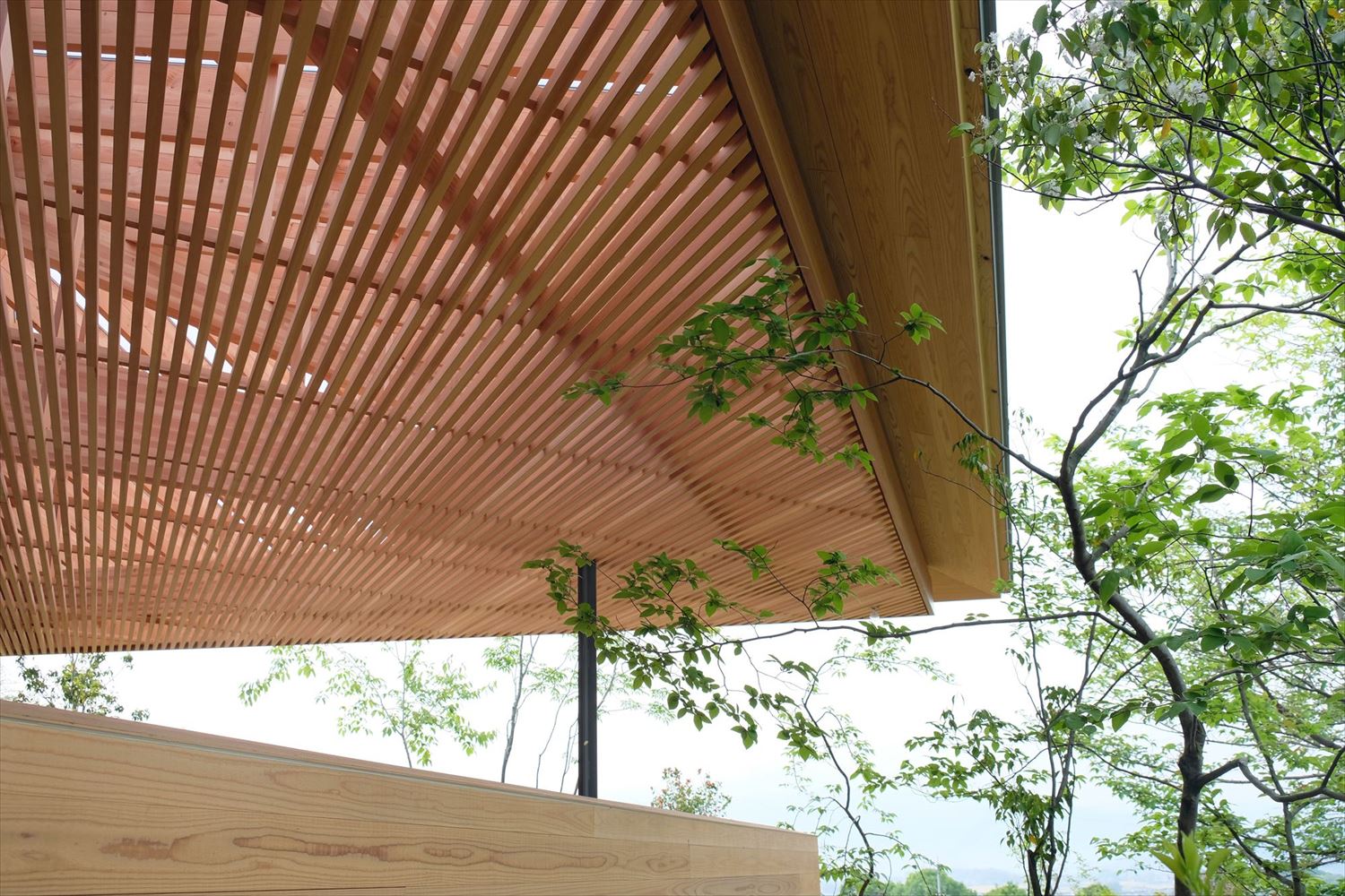 長谷部久人建築設計事務所